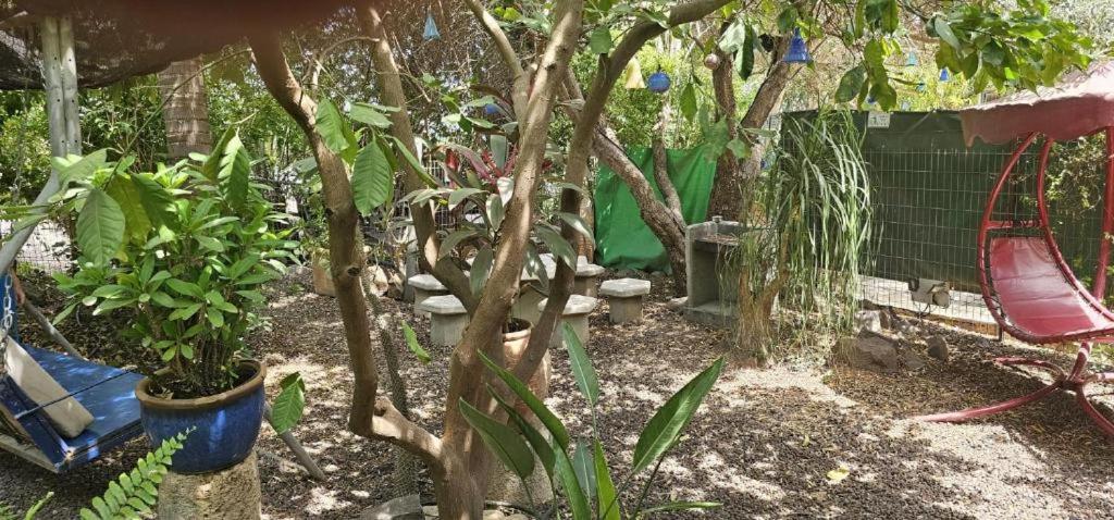 דביר סוויטות: ג'קוזי כפרי ליד הכנרת Villa Migdal Room photo